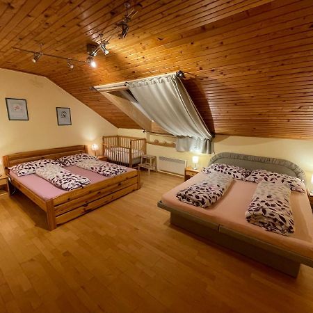 Villa Ubytovani Duskovi Lipno nad Vltavou Exterior foto